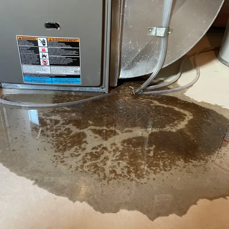 Appliance Leak Cleanup in La Crosse, KS