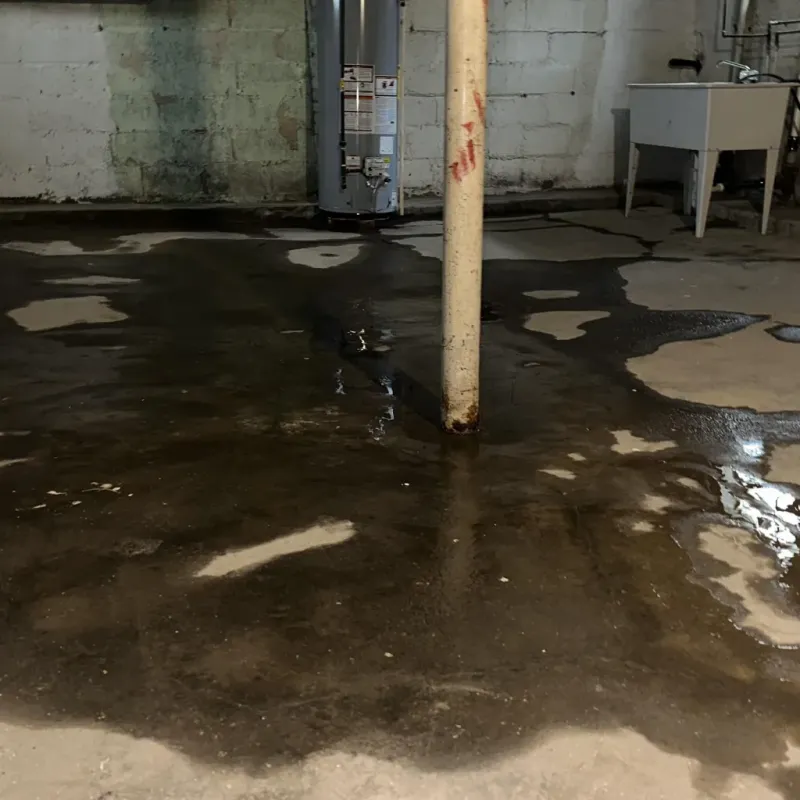 Emergency Water Extraction And Removal in La Crosse, KS